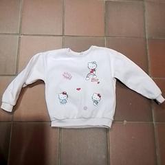 Sweater, as reported by Apenheul using iLost