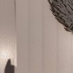 Zalaparta kuttuna knuffeldoel, gisa salatu by De Efteling iLost erabiliz