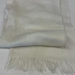 Xal, segons ha informat Het Amsterdamse Winterterras mitjançant iLost