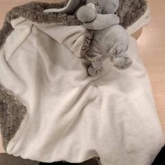 Coperta, come riportato da IKEA Hénin-Beaumont utilizzando iLost