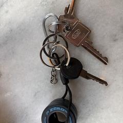 Sleutelbos, iLost'a bildirildiği gibi