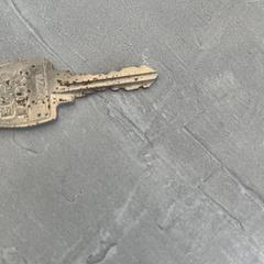 Sleutel, zoals gemeld door Arriva Achterhoek-Rivierenland met iLost