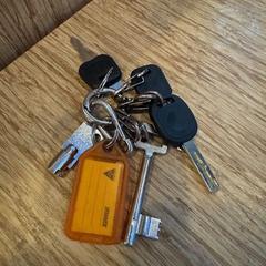 Portachiavi sleutels, come riportato da Gemeente Zeist utilizzando iLost