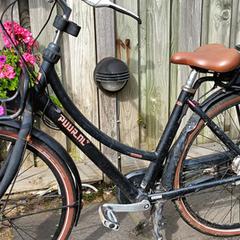 Dames E-bike Gazelle., segons s'ha informat a iLost