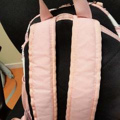 Bag rose, as reported by TCL using iLost