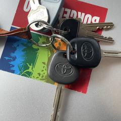 Chiave Bos, come riportato da Burgers' Zoo utilizzando iLost