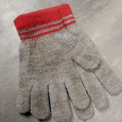 Handskar Grijs, rapporterat av Arriva Friesland / Groningen med iLost