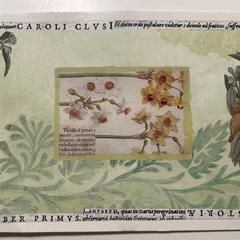 Briefkaart / Postcard, as reported to iLost