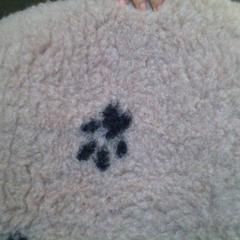 Łóżko dla psa, zgłoszono przez MEININGER Hotel Lyon Centre Berthelot przy użyciu iLost