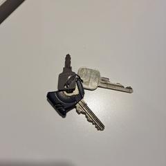 Sleutelbos، كما تم الإبلاغ عنه بواسطة Gemeente Meierijstad عبر iLost