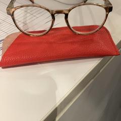 İLost kullanarak Pathé Delft tarafından bildirildiği gibi Gözlük