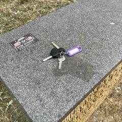 Sleutelbos met paars kaartje, segundo informou a iLost