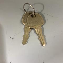 Gakoa, gisa salatu by Fenix iLost erabiliz