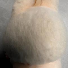 İLost kullanarak Arriva Friesland / Groningen tarafından bildirildiği gibi Oyuncak Beig