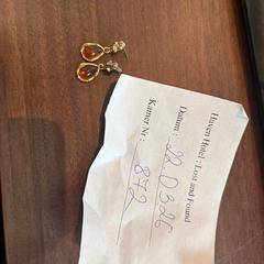 Náušnice Goud met oranje kleur, ako bolo nahlásené Haven Hotel Rotterdam pomocou iLost