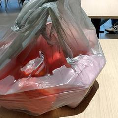 Bossa - plastieken tas, segons ha informat Centraal magazijn mitjançant iLost