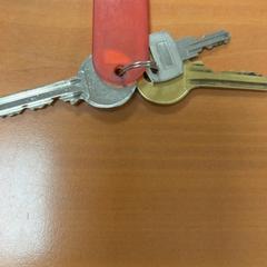 열쇠, iLost를 사용하여 ibis Schiphol Amsterdam Airport에 보고됨