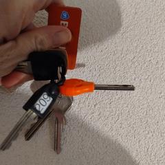 Sleutelbos, jak bylo nahlášeno na iLost