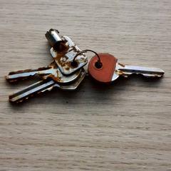Keys, as reported by ParkShuttle Rotterdam using iLost