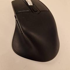 Rato, segundo informou HvA Amstelcampus usando iLost