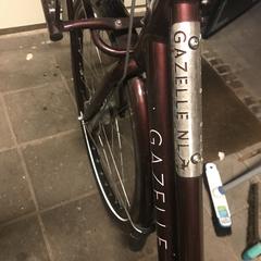 Fiets, segons s'ha informat a iLost