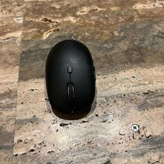 Rato Zwart, como reportado por Van der Valk Spier-Dwingeloo utilizando o iLost