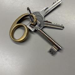 Kulcsok Sleutelhanger met nummer 6, amint azt Burgers' Zoo az iLost segítségével jelentette.