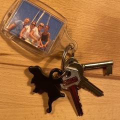 Sleutelbos, segons s'ha informat a iLost