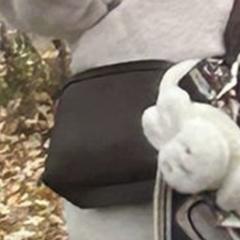 Brown small bag, jak bylo nahlášeno na iLost