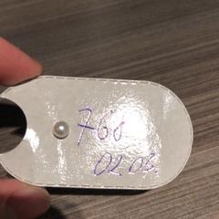 Ohrring Kamer 768, gemeldet von Van der Valk Hotel Haarlem über iLost