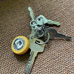 Sleutelbos, iLost에 보고됨