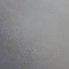 열쇠, iLost를 사용하여 De Efteling에 보고됨