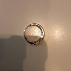 القرط، كما تم الإبلاغ عنه بواسطة LUMC عبر iLost