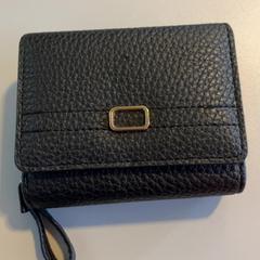 İLost kullanarak Arriva Limburg Noord tarafından bildirildiği gibi Cüzdan