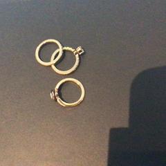 Ringen, zoals gemeld door Van der Valk Hotel Amsterdam Zuidas met iLost