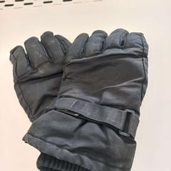 Gloves, as reported by Arriva Limburg Zuid using iLost