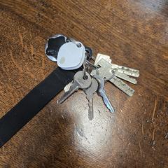 Sleutelbos, as reported to iLost