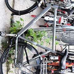 Pánsky bicykel gazelle, ako bolo nahlásené Stadswerk072 pomocou iLost