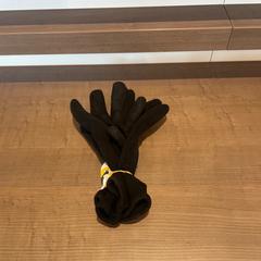 Handschoenen, zoals gemeld door Pathé Arnhem met iLost