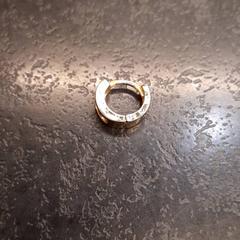 Earring, as reported by Rotterdam The Hague Airport using iLost