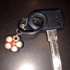 Klíč, jak nahlášeno TivoliVredenburg pomocí iLost