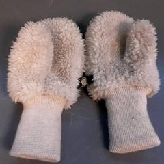 Rukavice, jak nahlášeno Diergaarde Blijdorp pomocí iLost