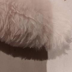 Peluche, ha sido reportado por De Efteling con iLost