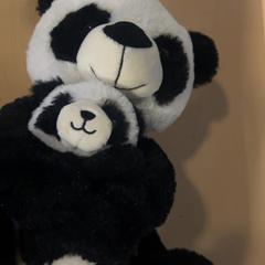 Peluix Panda, segons ha informat Jaarbeurs mitjançant iLost