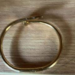 Armband Armband, zoals gemeld door Attractie- & Vakantiepark Slagharen met iLost