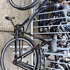 Zwarte opoefiets, a été signalé par Stadswerk072 utilisant iLost