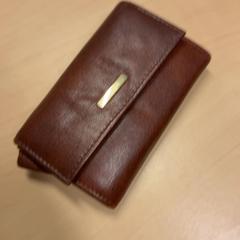 Wallet, as reported by RET using iLost