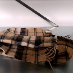 Halsduk, rapporterat av Keolis Lund med iLost