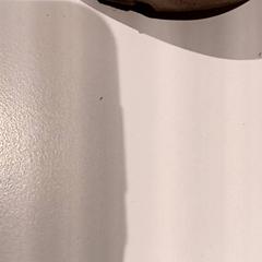 Schoen, zoals gemeld door De Efteling met iLost