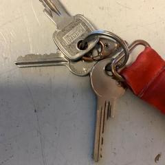 Sleutelbos, zoals gemeld door Artis met iLost